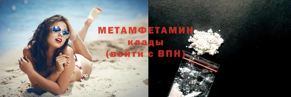 прущие грибы Верхний Тагил