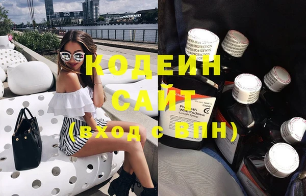 прущие грибы Верхний Тагил