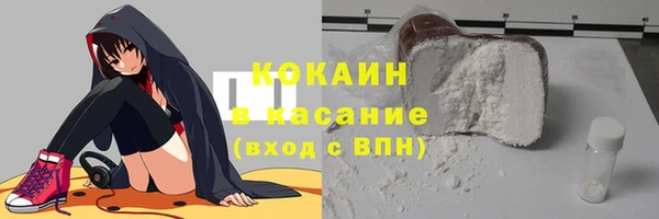 прущие грибы Верхний Тагил