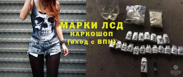 прущие грибы Верхний Тагил