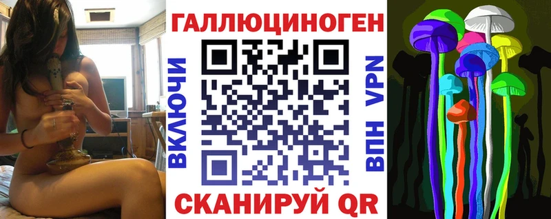 купить Голицыно Галлюциногенные грибы Cubensis